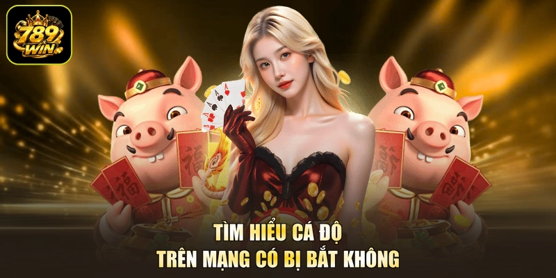 Tìm hiểu cá độ trên mạng có bị bắt không